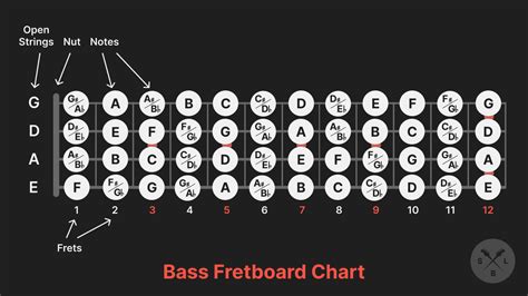 Bass Fretboard Notes Chart