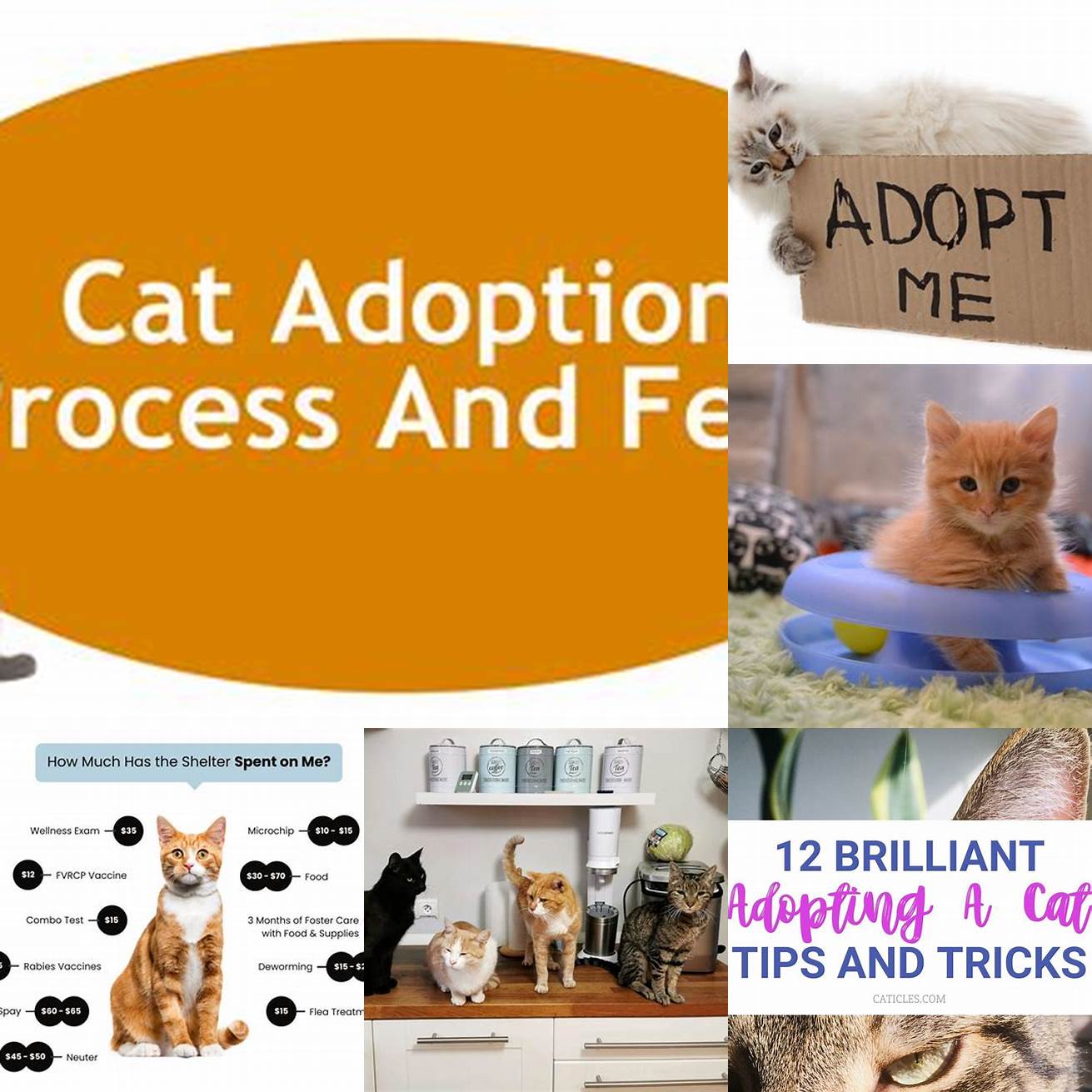 Be prepared for the adoption process
