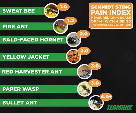 Bee Sting Pain Chart