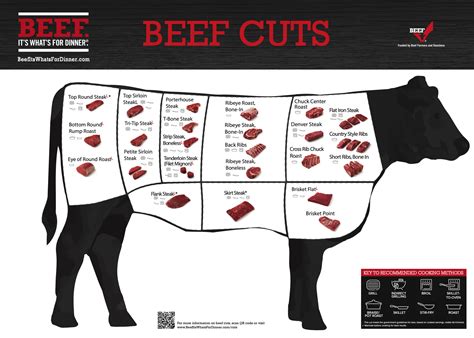 Beef Cut Chart