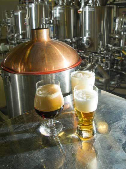 Beer Brewing Lab Uc Davis Course Catalog