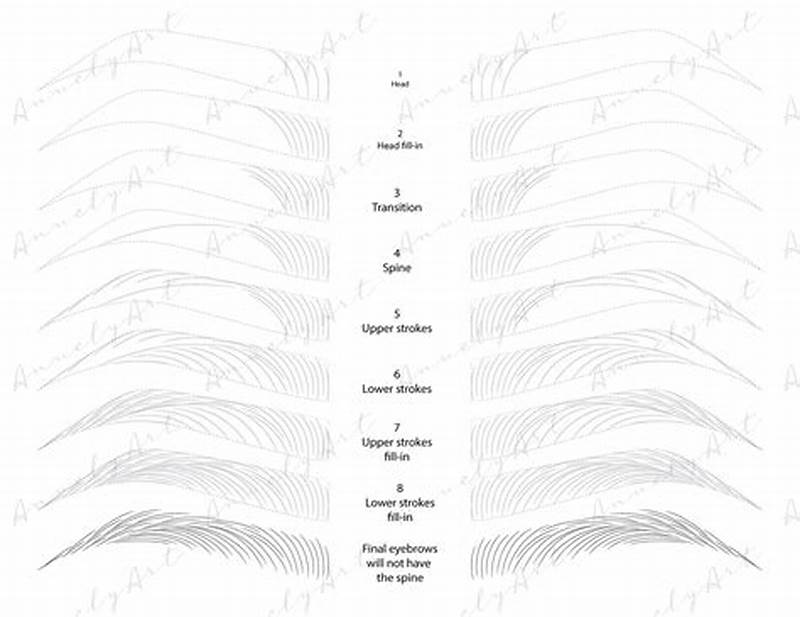 Beginner Microblading Pattern