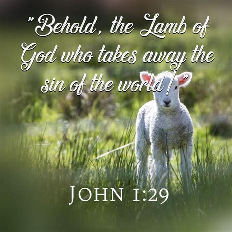 Lamb God Who Takes