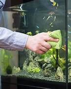 Benefits of fish tank cleaning service
