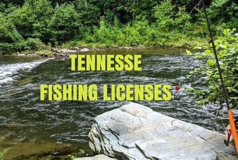 Benefits of Having a Fishing License in Tennessee