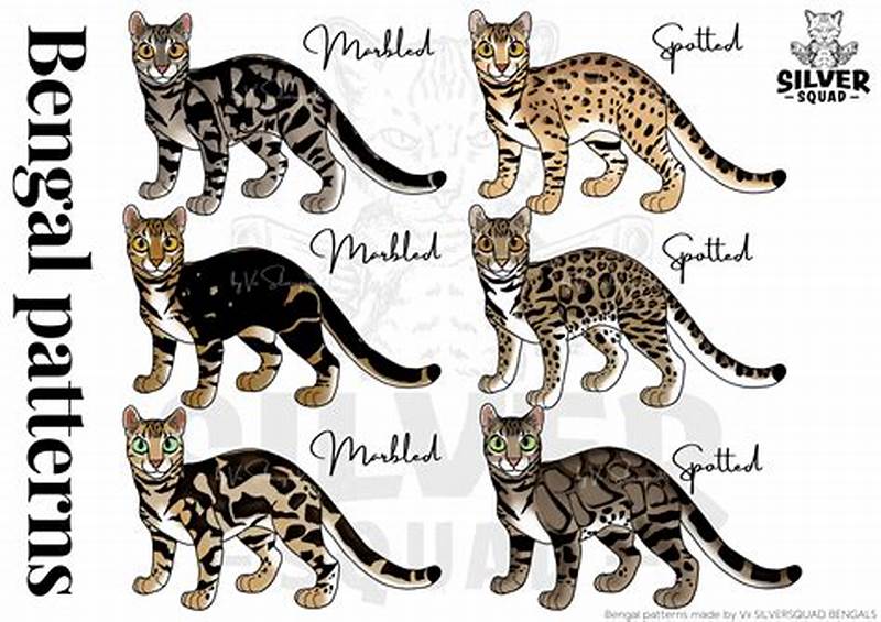 Bengal Pattern Types
