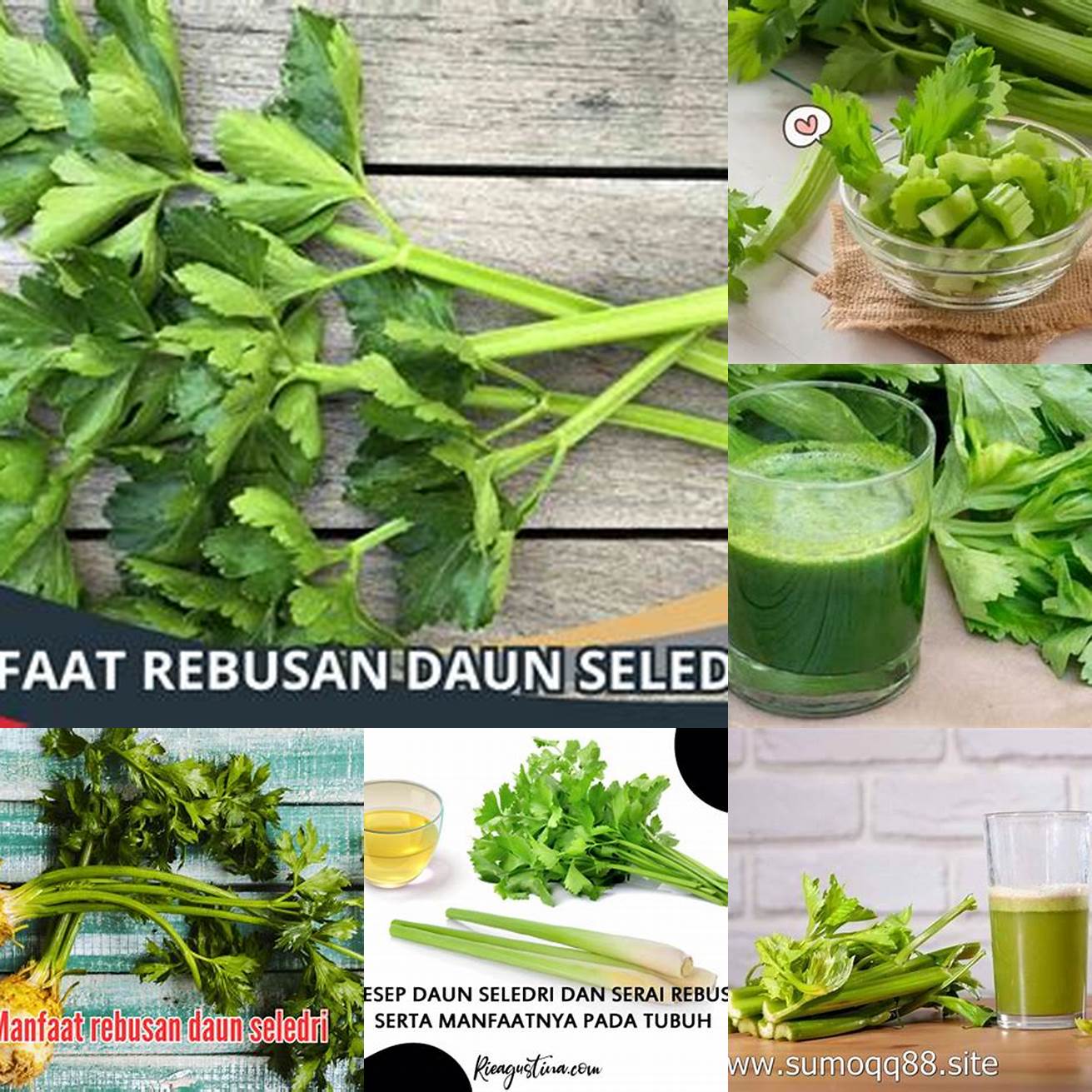 Berapa kali sebaiknya mengonsumsi rebusan daun seledri dalam seminggu