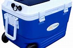 Best Camping Hard Coolers 2021