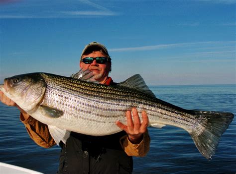 Best Fishing Spots for Bluefish