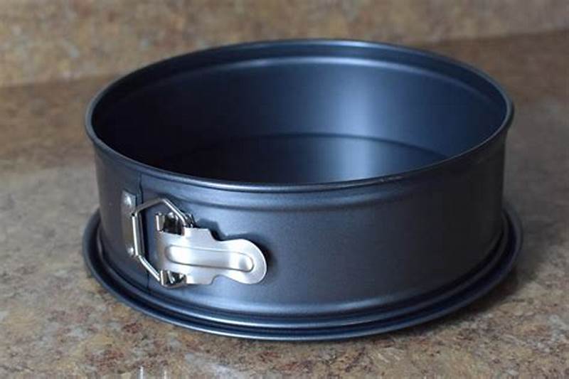 Best Spring Form Pan