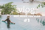 Best Vlog Songs