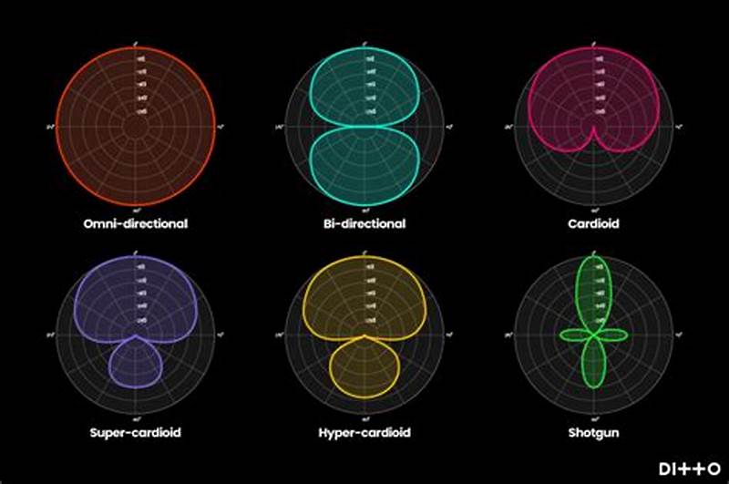 Bi Directional Mic Pattern