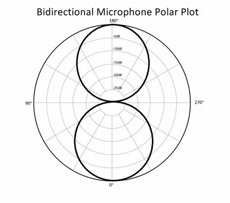 Bidirectional Mic Pattern