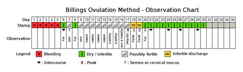 Billings Ovulation Method Chart