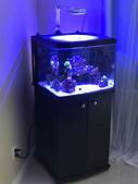 Versatile Design Bio Cube Fish Tank