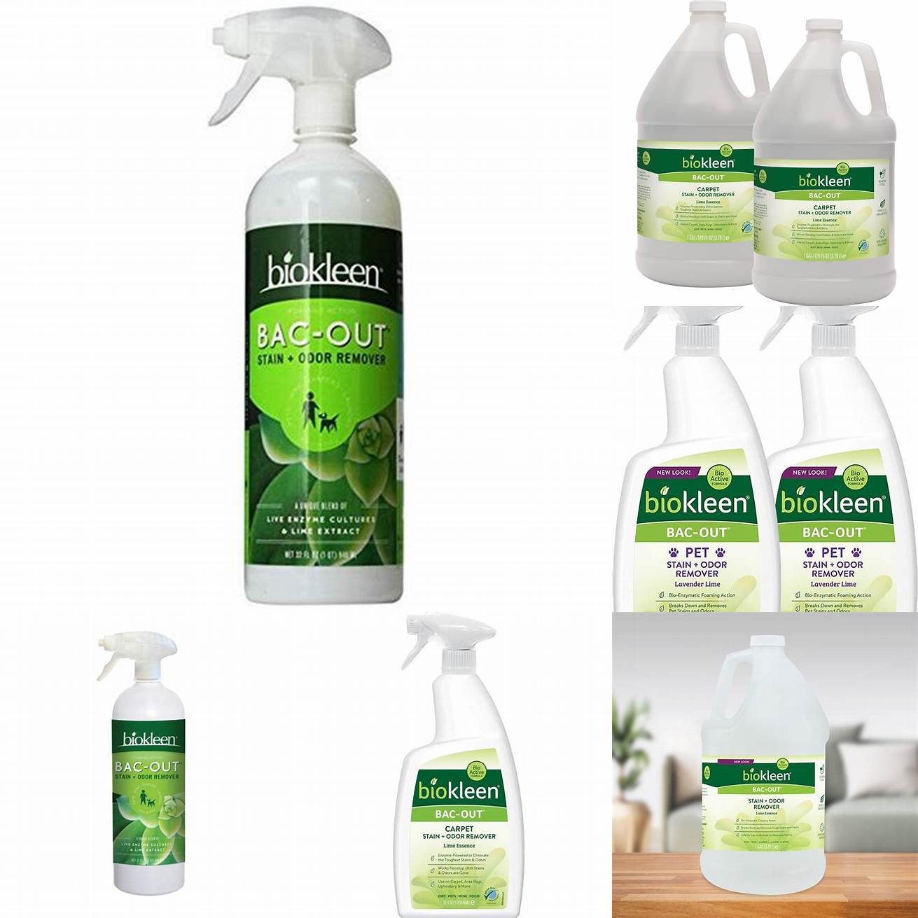 Biokleen Bac-Out Stain Odor Remover