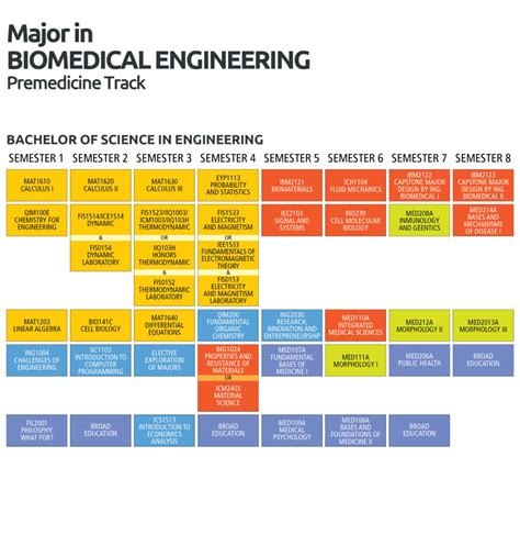 Biomedical Engineering Pre Med Track Uconn Course Catalog
