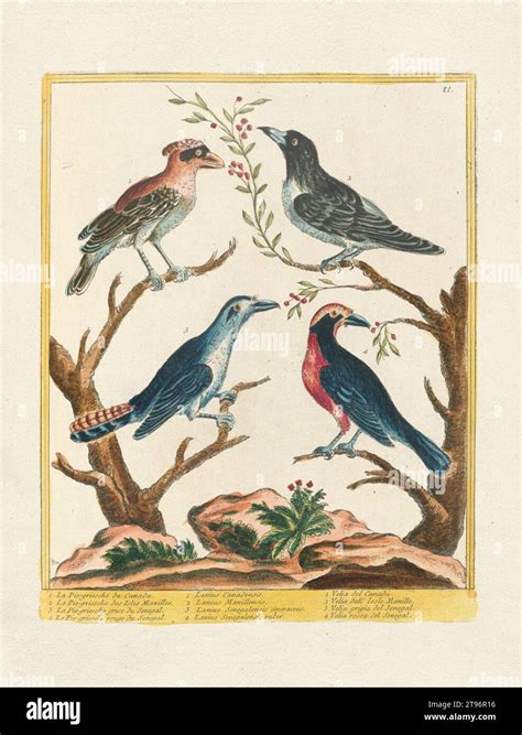 Bird Catalogs Plete 5 L-4