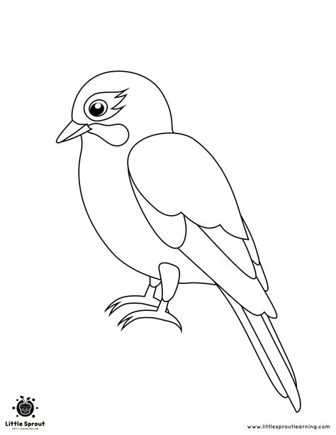 Bird Colouring Pages Printable