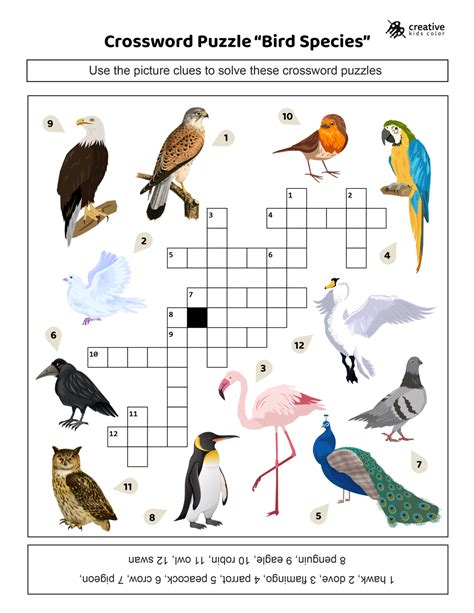 Bird Crossword Puzzle Printable