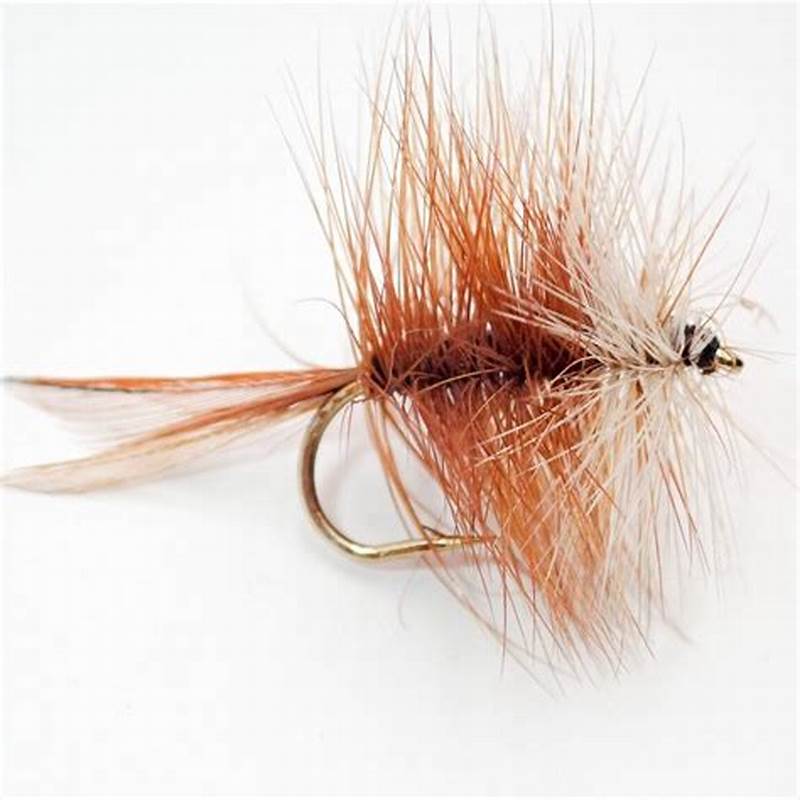 Bivisible Fly Pattern