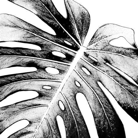 Black And White Printable Images