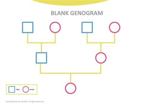 Blank Genogram Template