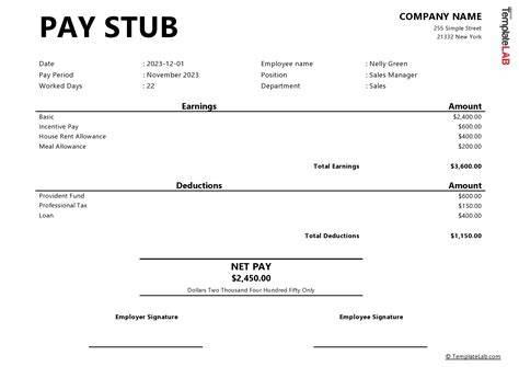 Blank Paystub Template