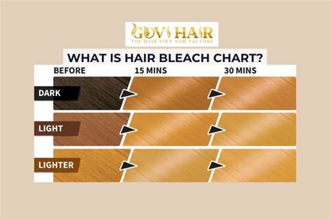 Bleach Hair Chart