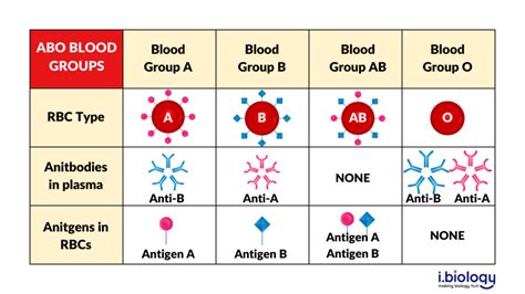 Blood Antigen Chart