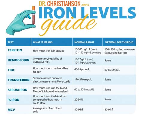 Blood Iron Levels Chart