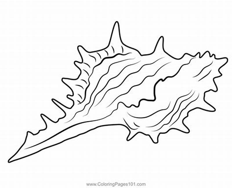 Blue Shell Coloring Page