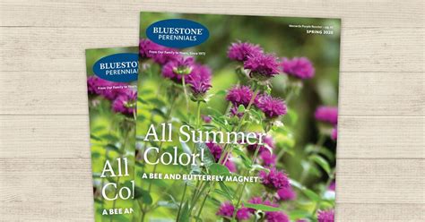 Bluestone Perennials Catalog