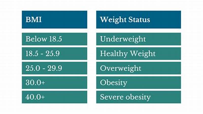 Bmi Chart Classification