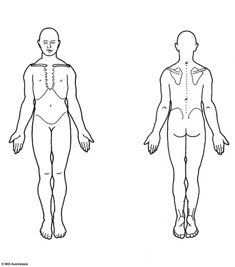 Body Diagram Chart