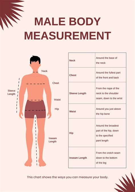 Body Dimensions Chart