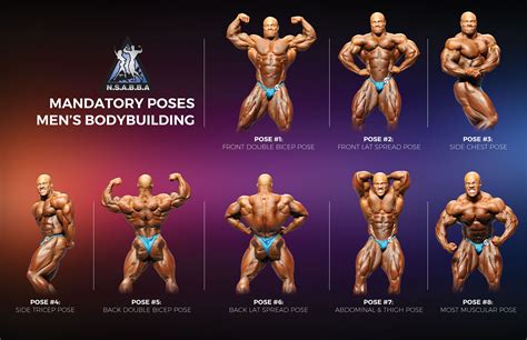 Bodybuilding Poses Chart