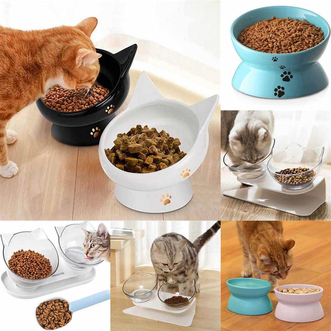 Bowl of cat food