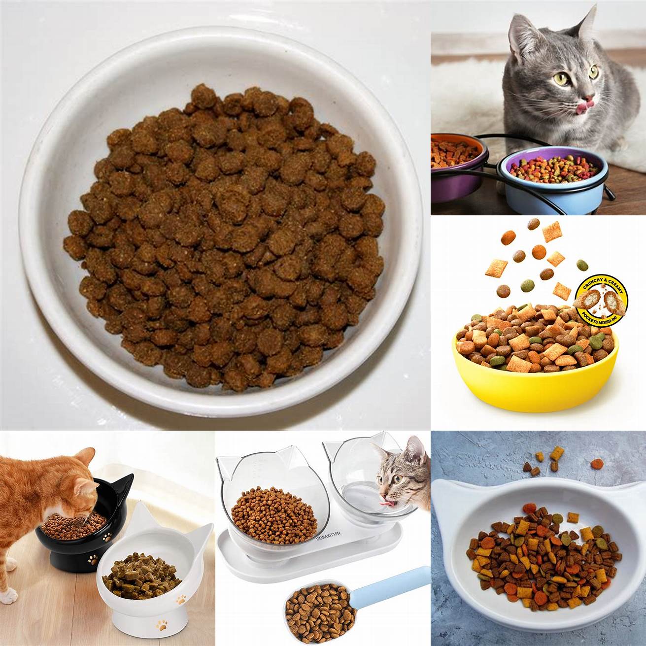 Bowl of dry cat food