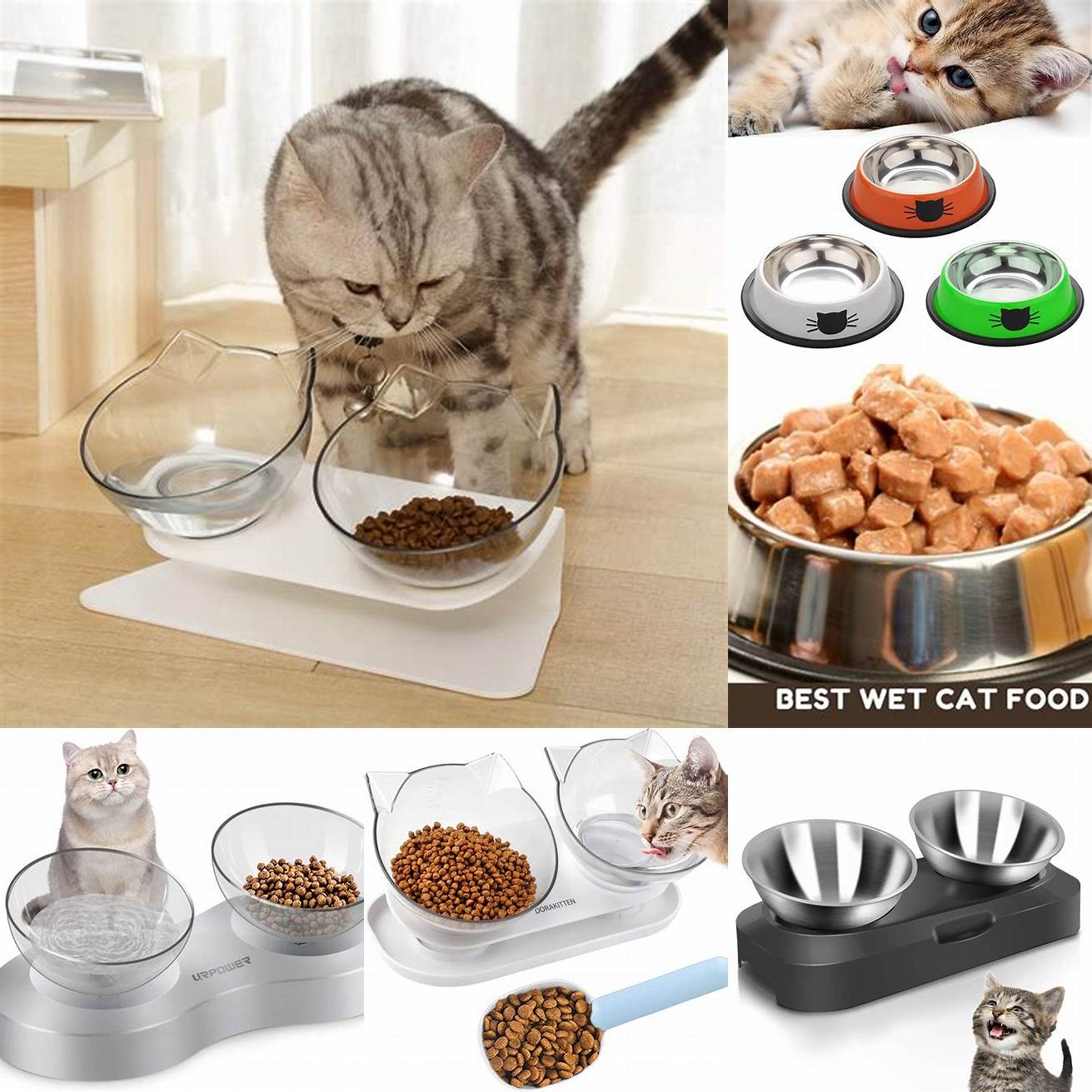 Bowl of wet cat food