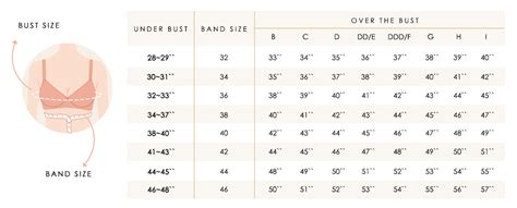 Bra Measurement Chart Canada