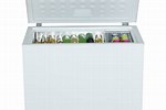 BrandsMart Appliances Box Freezer