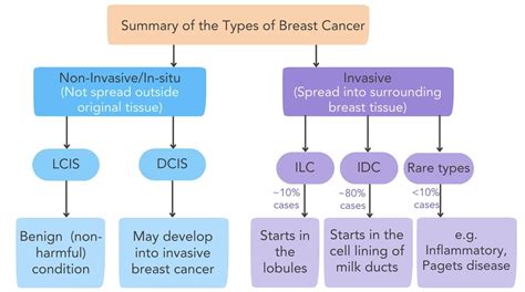Breast Cancer Types Chart