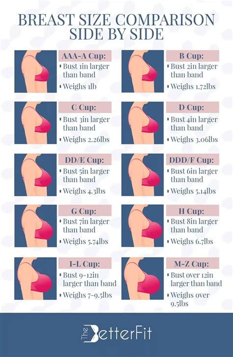 Breast Size Image Chart