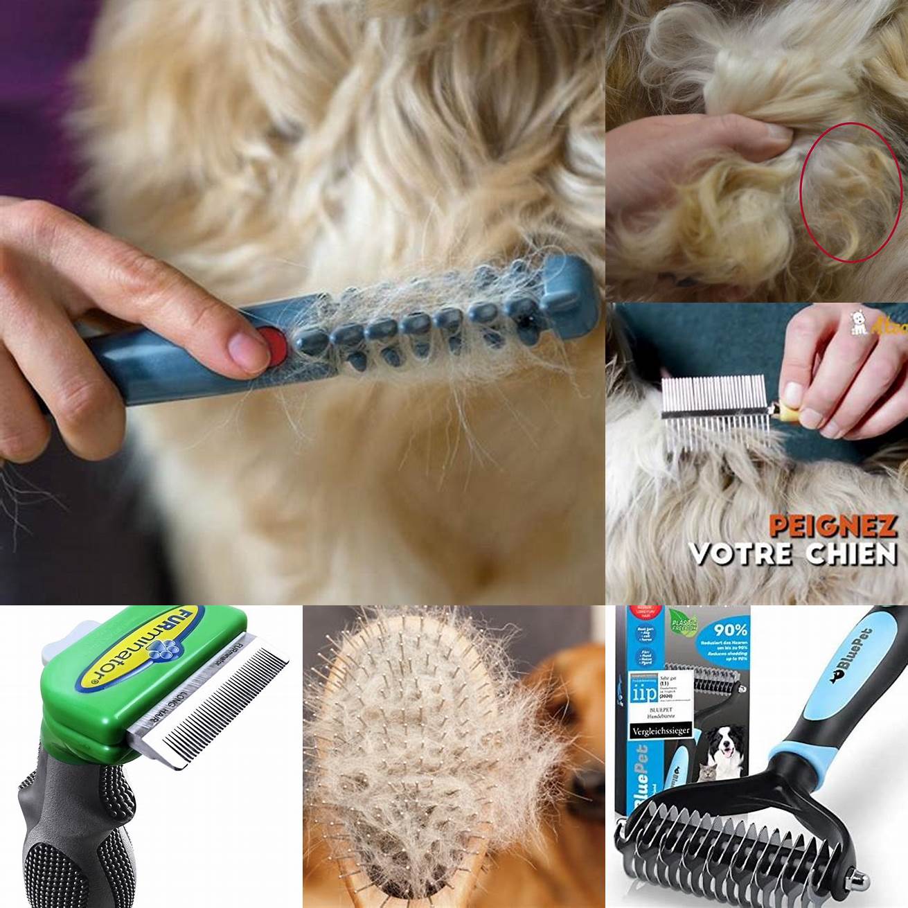 Brossez régulièrement les poils de votre chien pour éviter les nœuds et les emmêlements