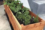 Build Raised Garden Box