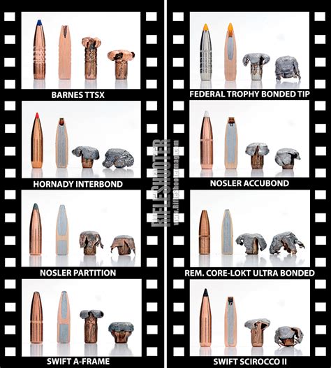 Bullet Expansion Chart