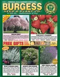 Burgess Flower Catalog