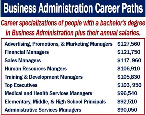 Business Administration Career Description