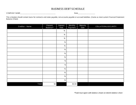 Business Debt Schedule Template